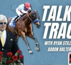 San Felipe, Fountain of Youth, and Gotham Stakes PICKS and PREVIEW | Talkin’ Track